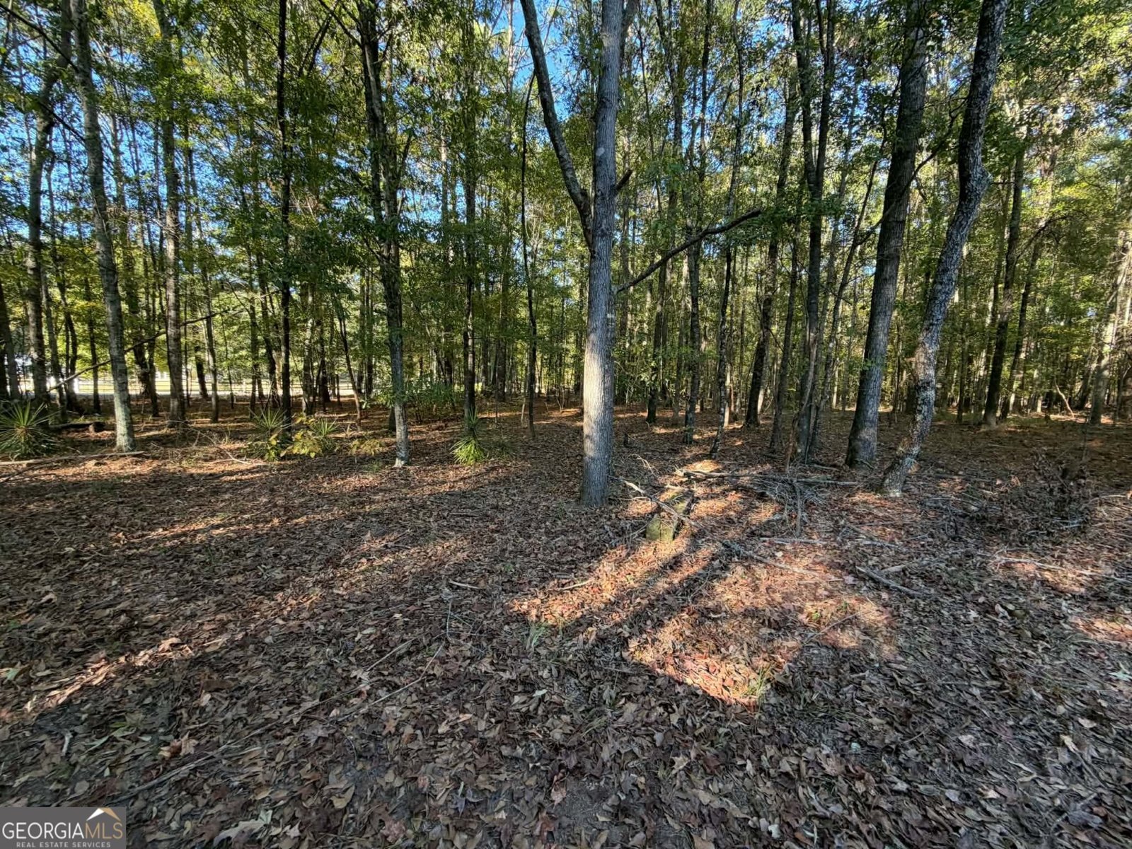 191 Gregory Lane Eatonton - Photo 48