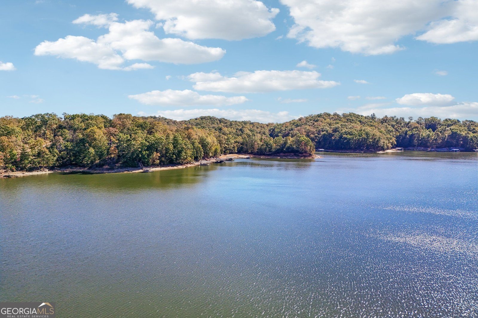 868 Chestatee Point Dawsonville - Photo 78