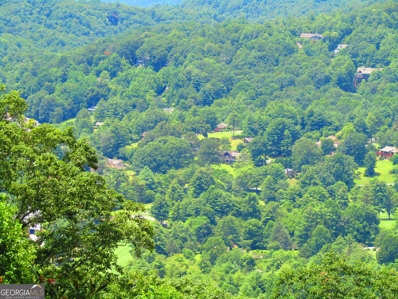 112 Upper Scenic Drive Dillard - Photo 39