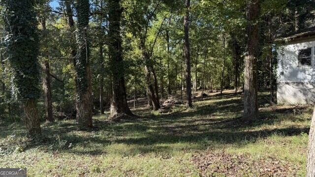 297 Burg Road Jenkinsburg - Photo 9