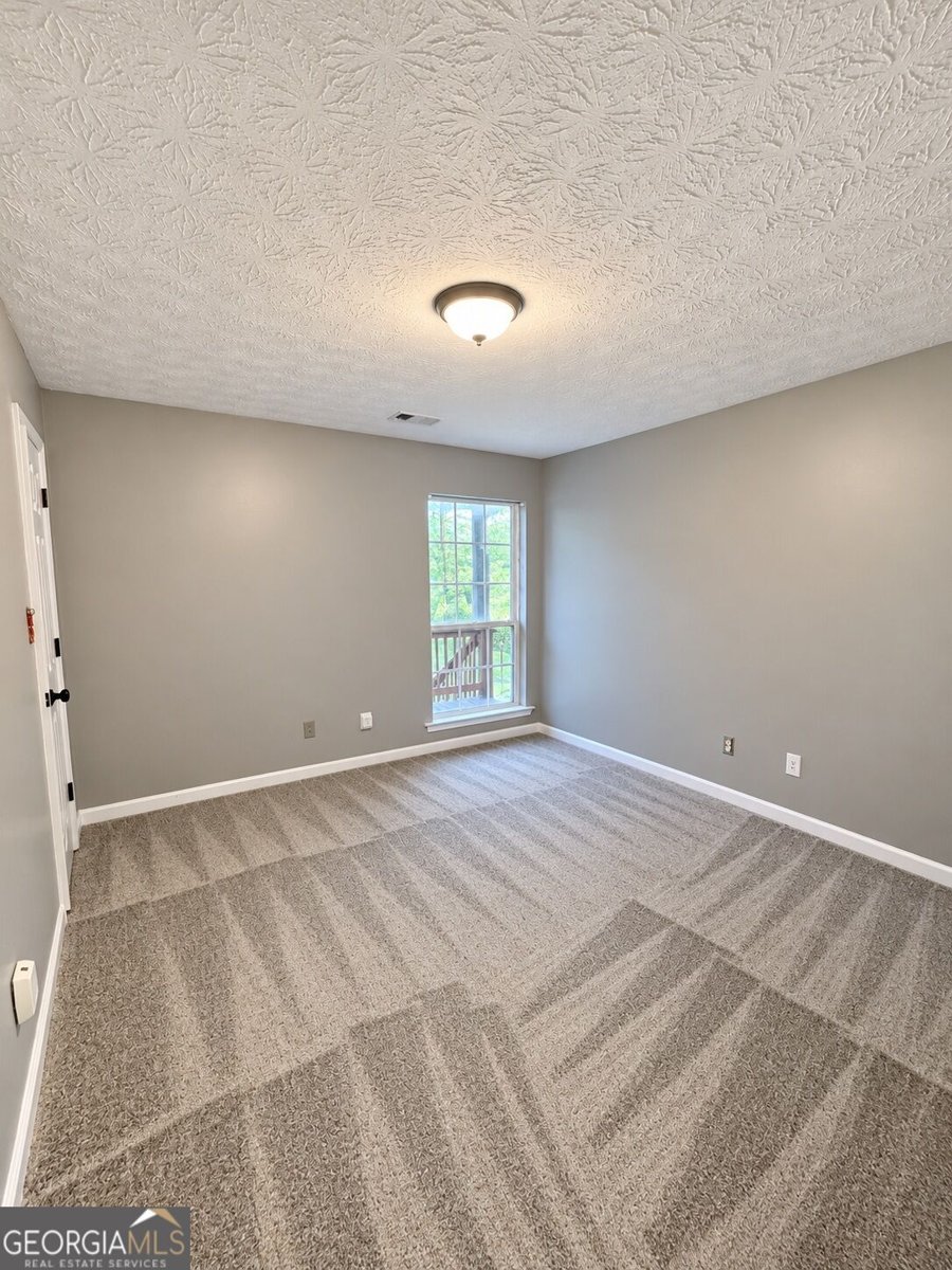 711 Country Lake Court McDonough - Photo 29