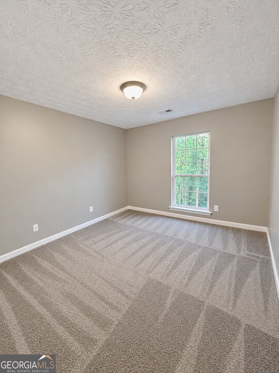 711 Country Lake Court McDonough - Photo 31