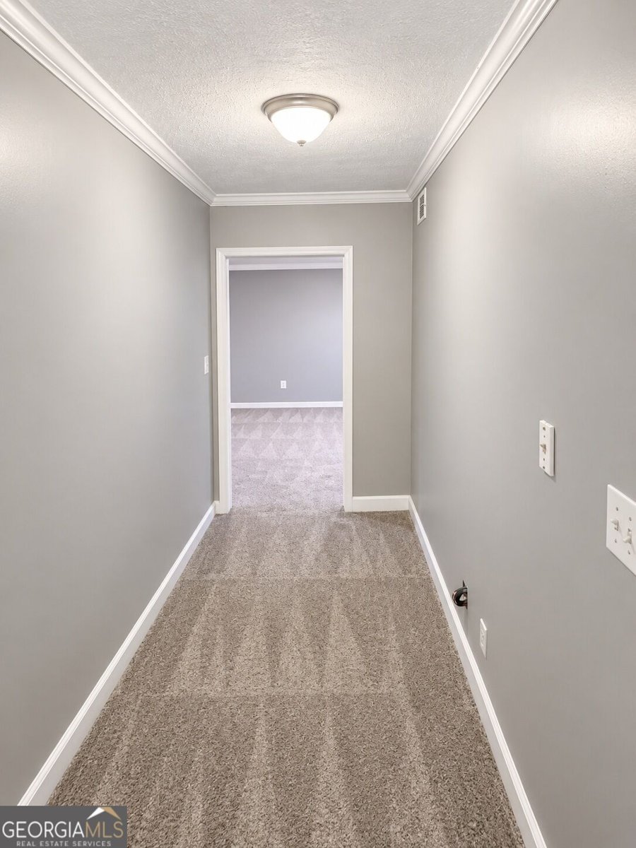 711 Country Lake Court McDonough - Photo 33