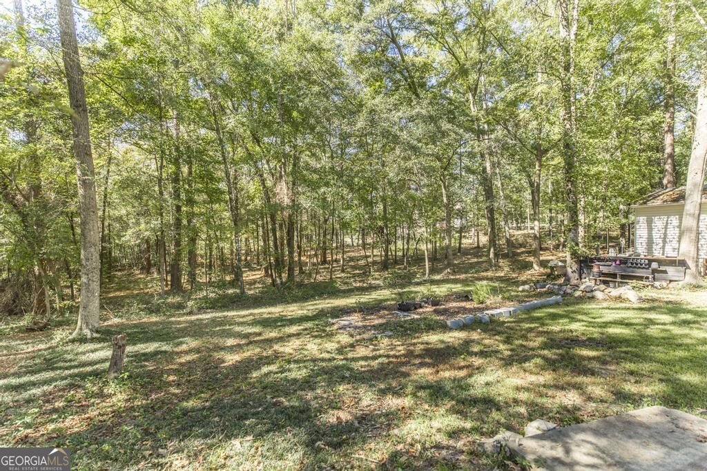 233 Hamrick Road Macon - Photo 45