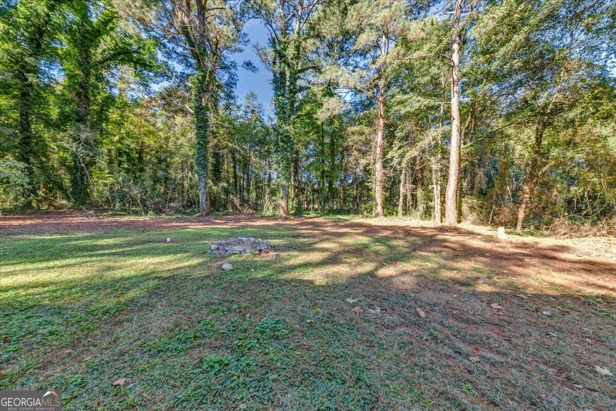 3093 Goode Road Conyers - Photo 33