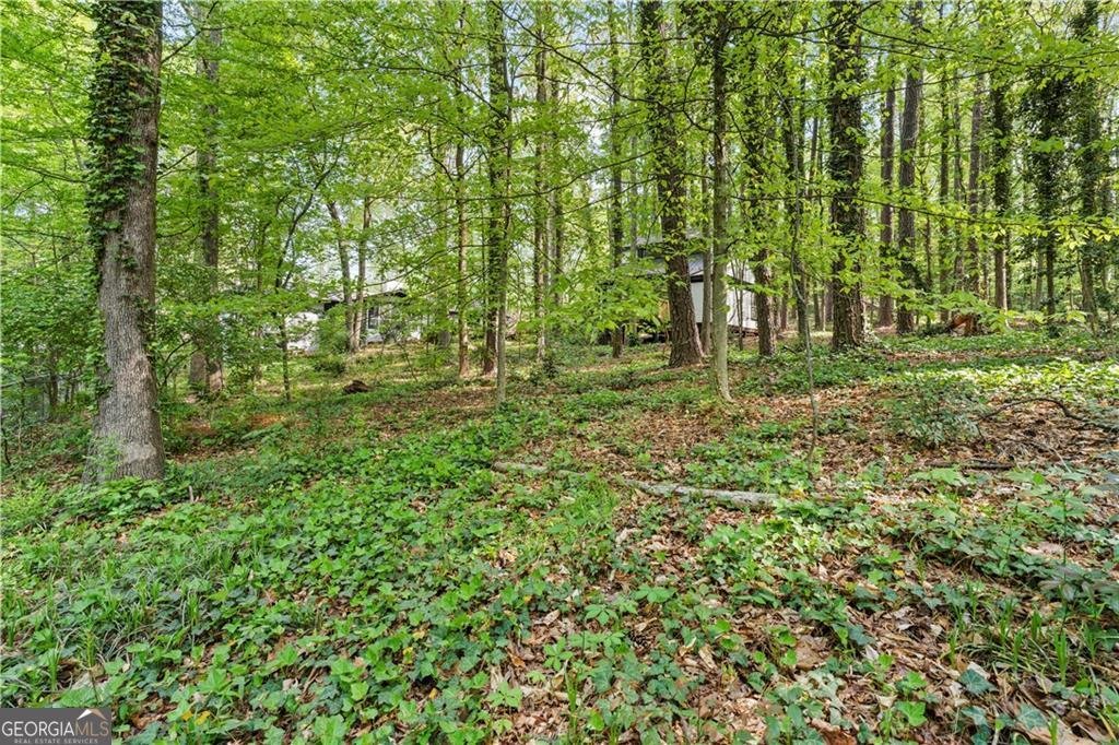 5253 Oxbow Road Stone Mountain - Photo 103