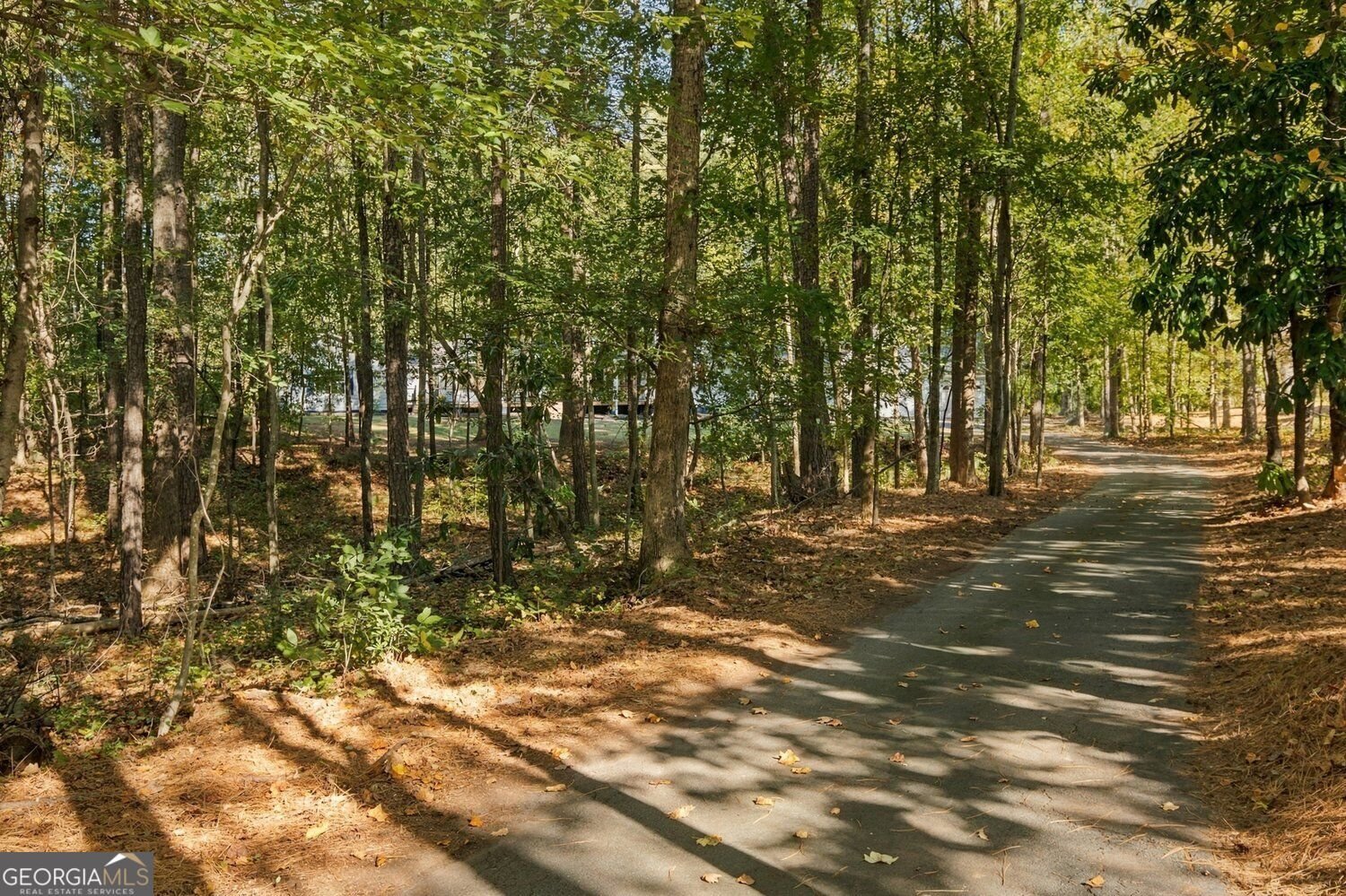 1000 Mars Hill Road Acworth - Photo 29