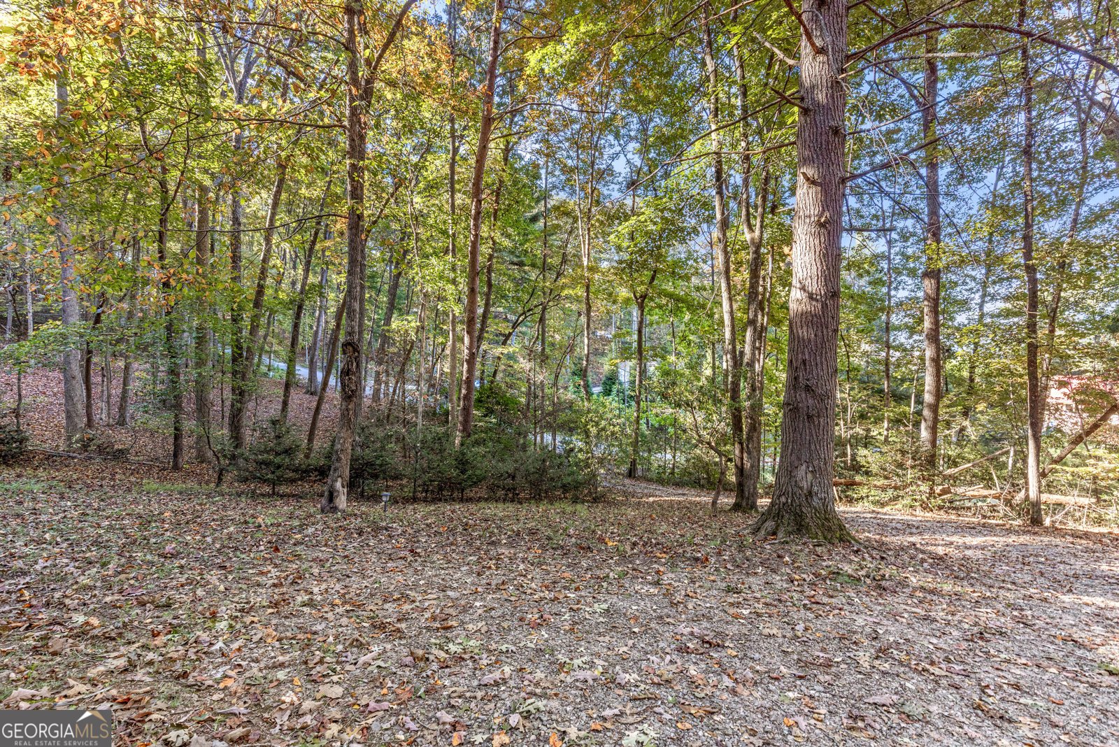 80 Treetop Lane Blairsville - Photo 30