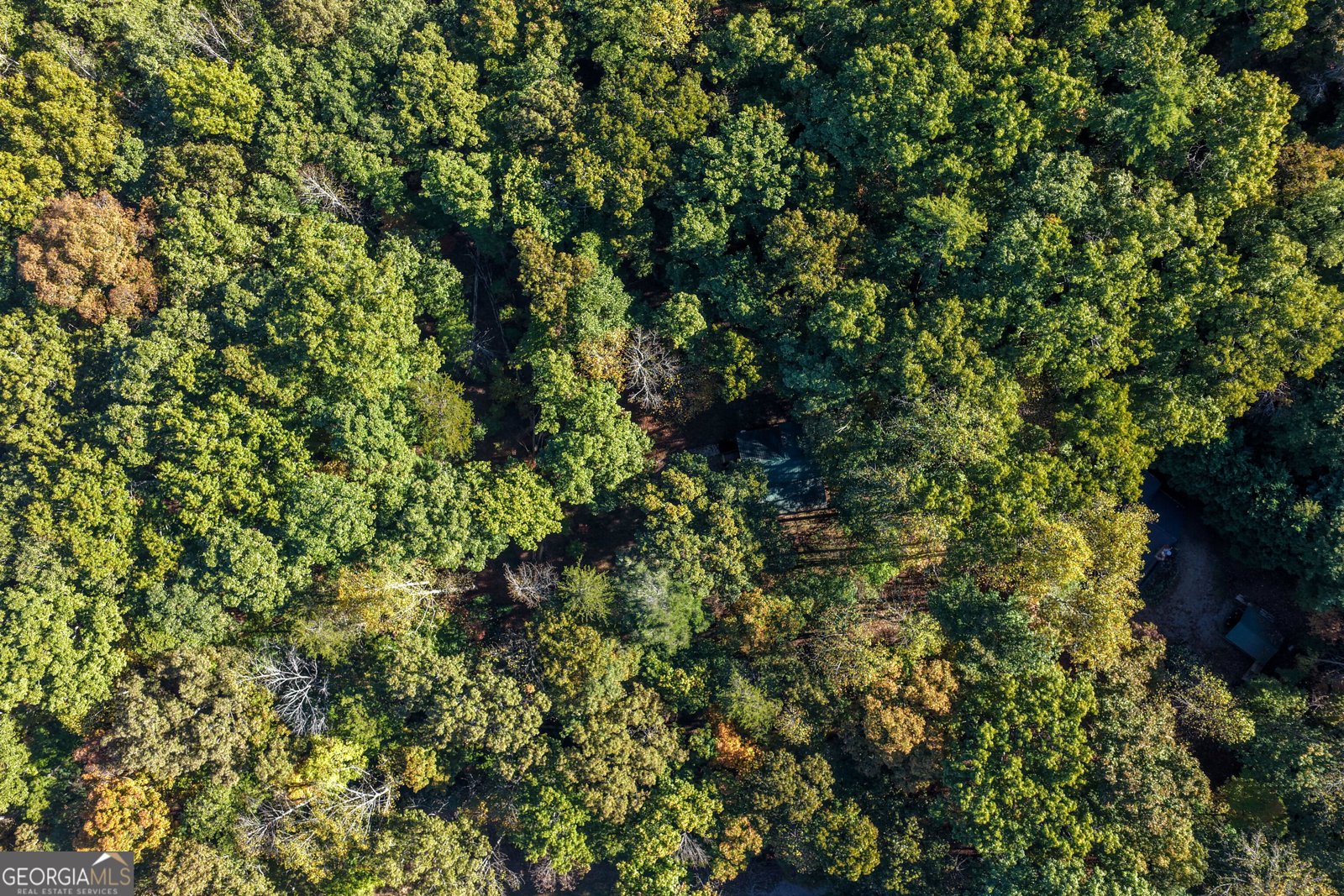 80 Treetop Lane Blairsville - Photo 35