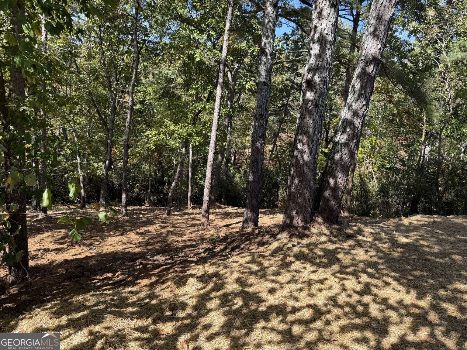 3258 Baker Road Gainesville - Photo 11