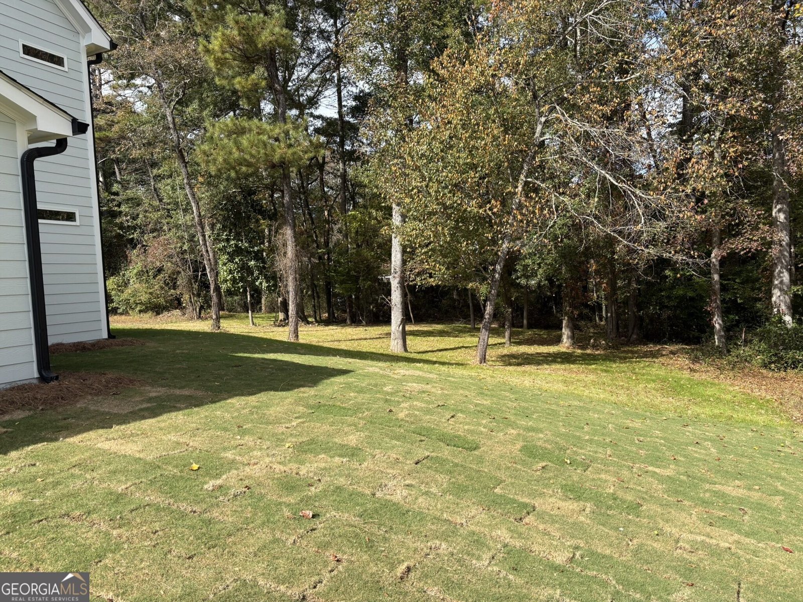 31 Lazarus Drive Hiram - Photo 44