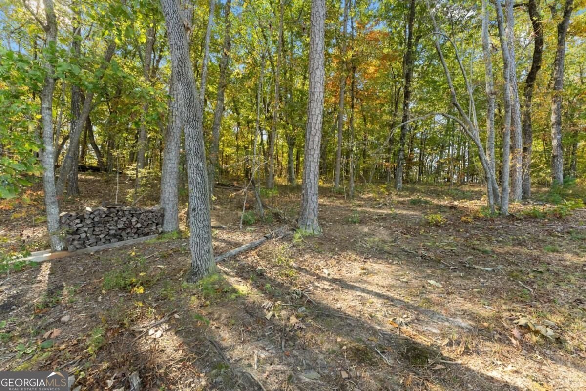 121 Hannahs Court Dawsonville - Photo 27