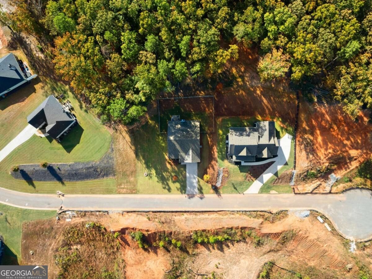 121 Hannahs Court Dawsonville - Photo 31