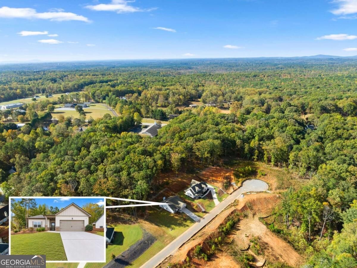 121 Hannahs Court Dawsonville - Photo 33