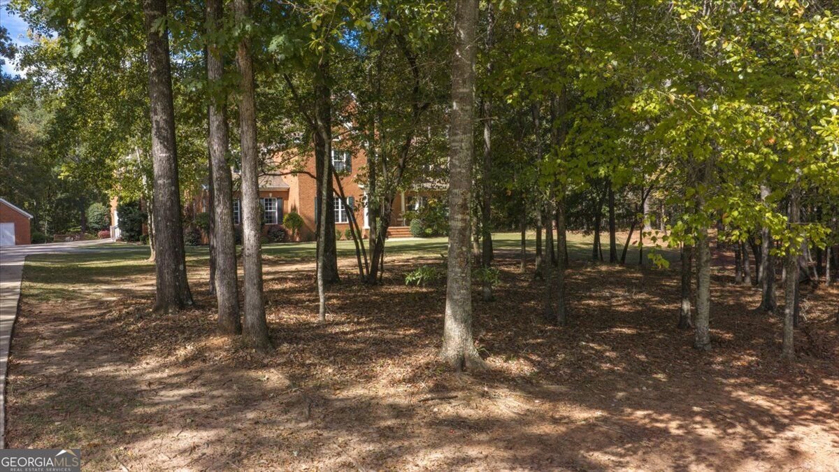 171 Churchill Drive Juliette - Photo 64