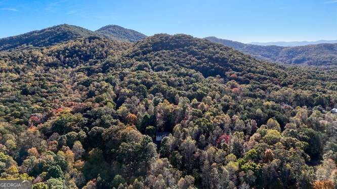 1316 Bradley Blairsville - Photo 49