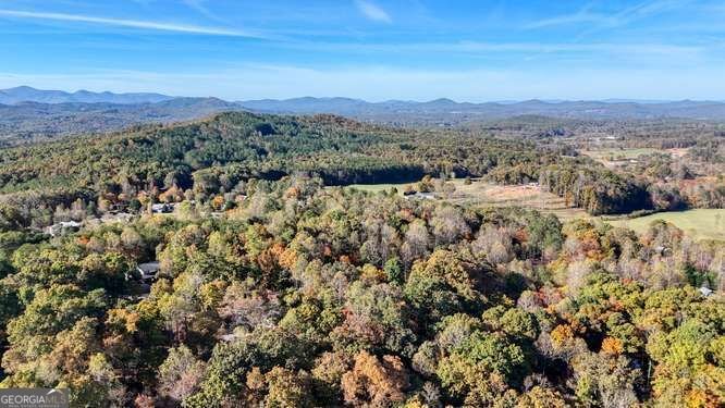 1316 Bradley Blairsville - Photo 52