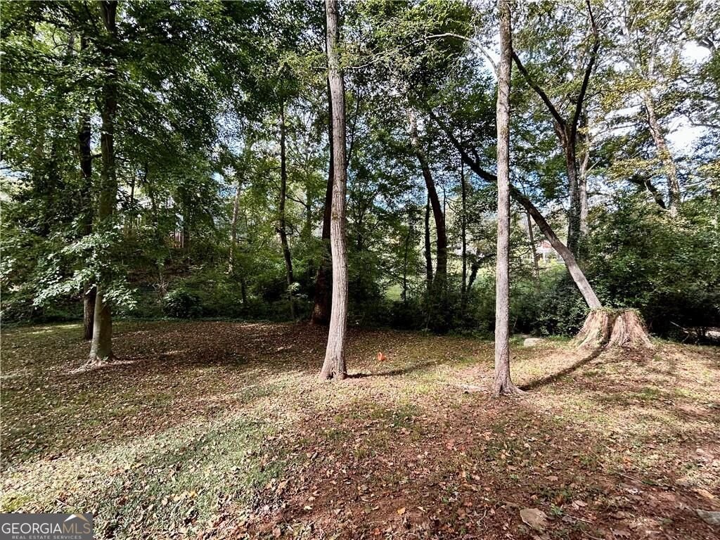 605 Kirk Road Decatur - Photo 11