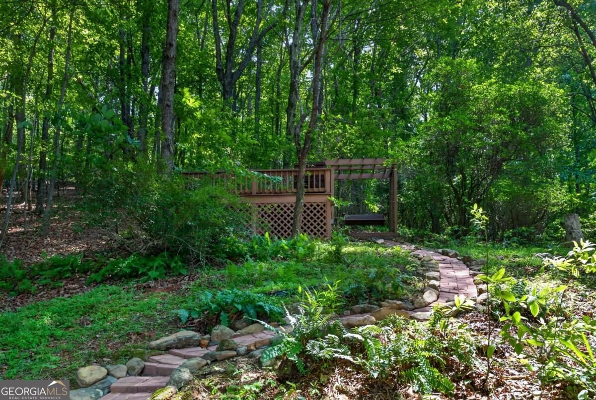 113 Lucerne Place Sautee Nacoochee - Photo 62