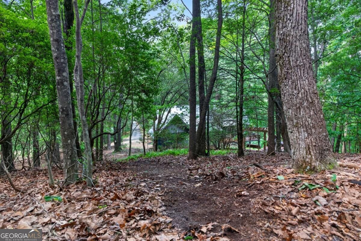 113 Lucerne Place Sautee Nacoochee - Photo 66