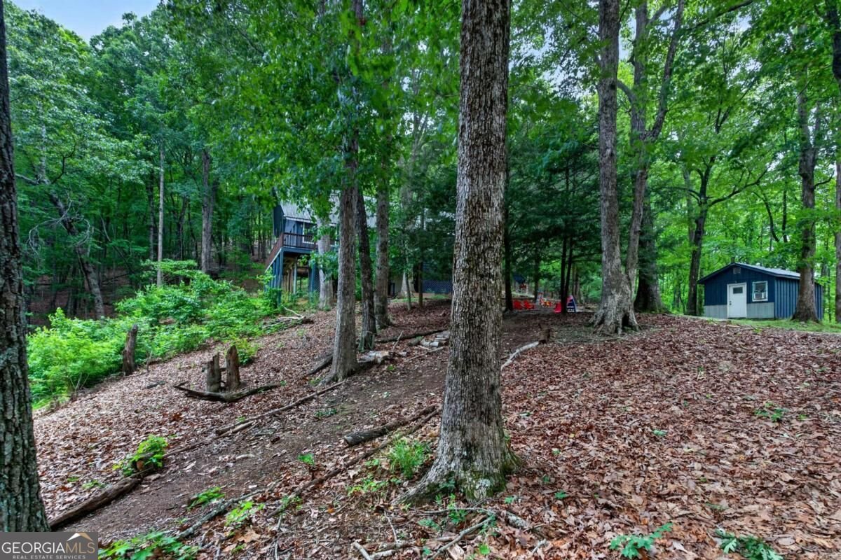 113 Lucerne Place Sautee Nacoochee - Photo 67