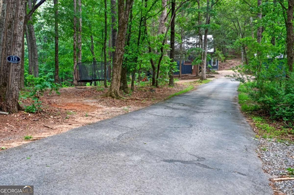 113 Lucerne Place Sautee Nacoochee - Photo 70