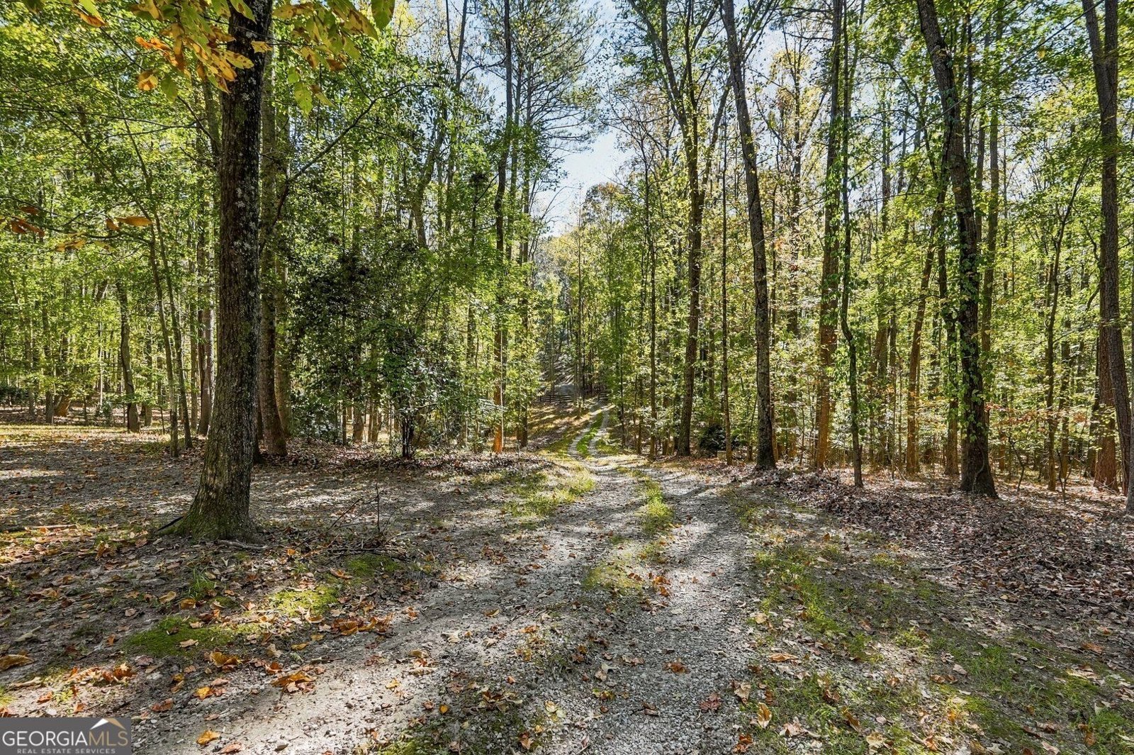 658 Dogwood Lake Trail Alpharetta - Photo 45