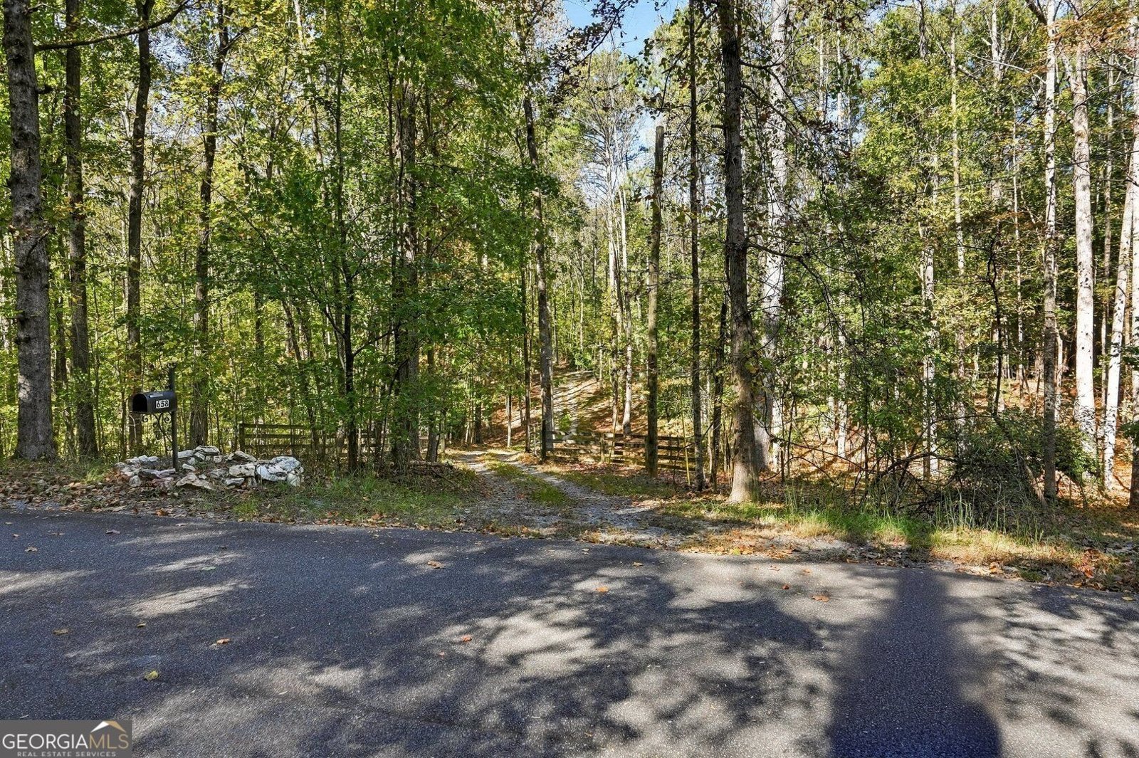 658 Dogwood Lake Trail Alpharetta - Photo 6