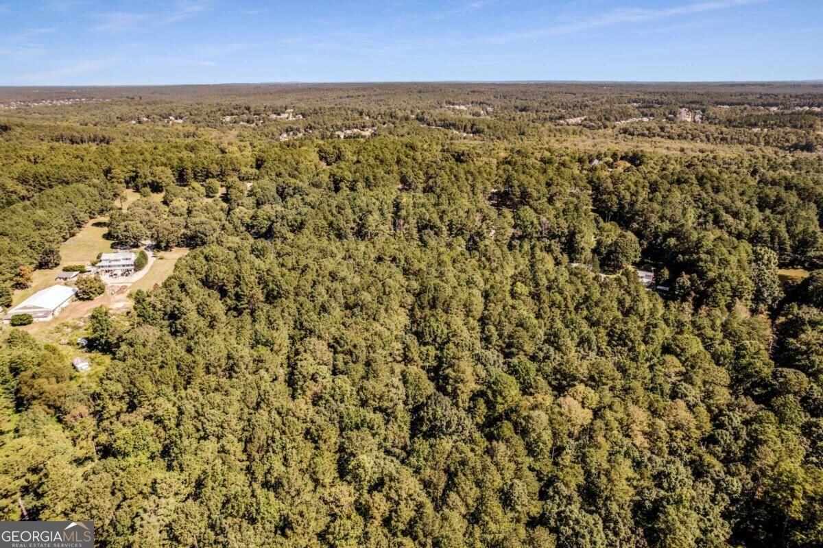 2885 Callie Still Road Lawrenceville - Photo 46