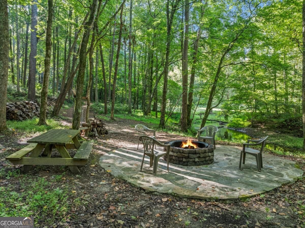 70 Clear Creek Valley Drive Ellijay - Photo 49