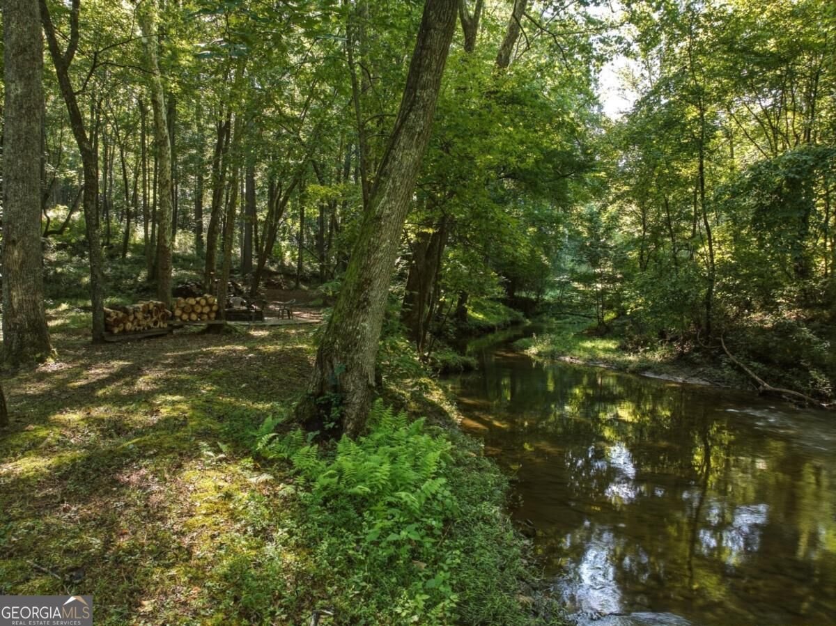 70 Clear Creek Valley Drive Ellijay - Photo 51