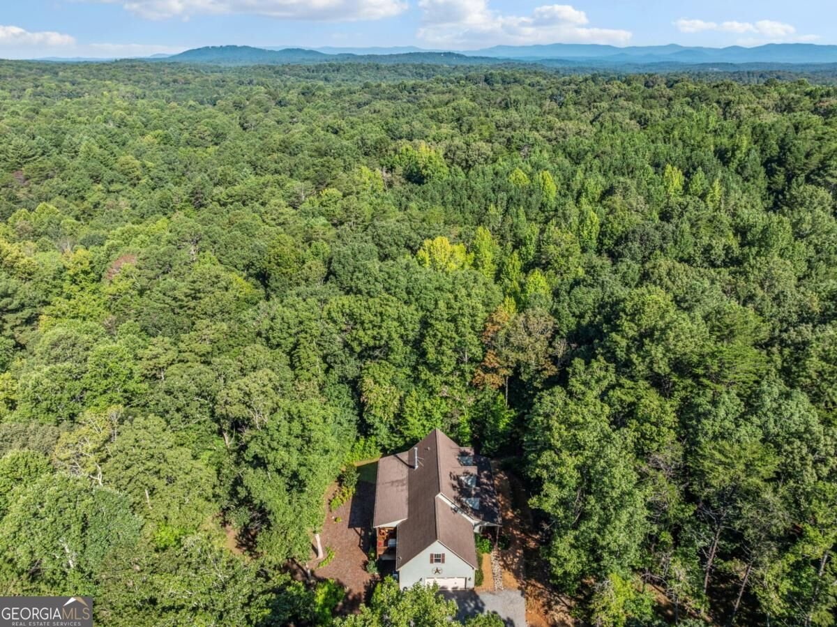 70 Clear Creek Valley Drive Ellijay - Photo 53