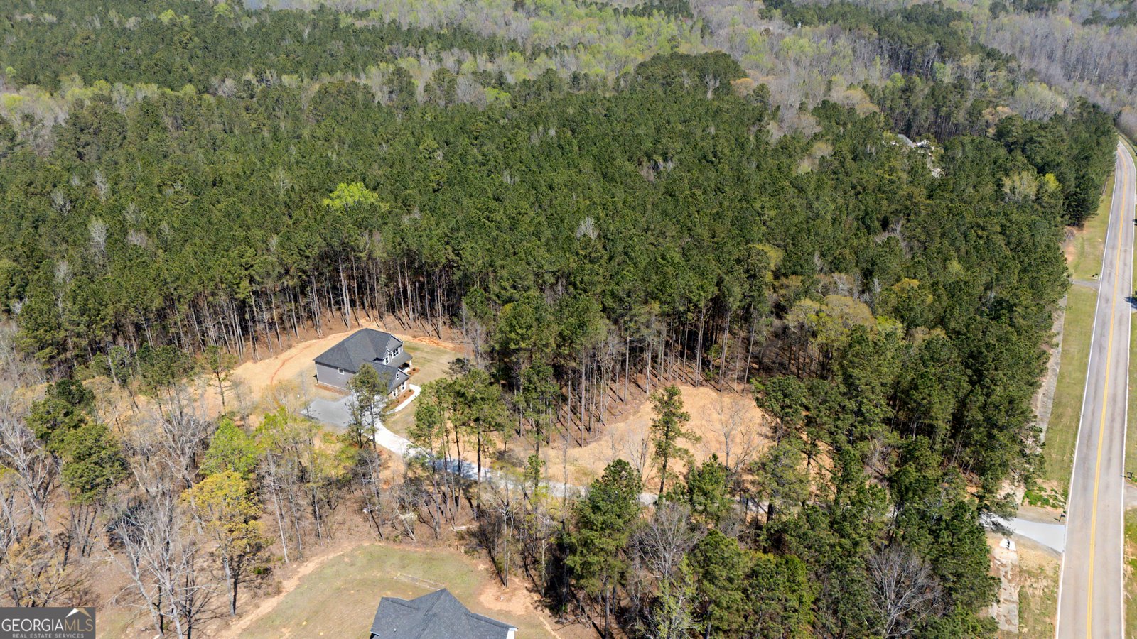 3921 Peeksville Road Locust Grove - Photo 51