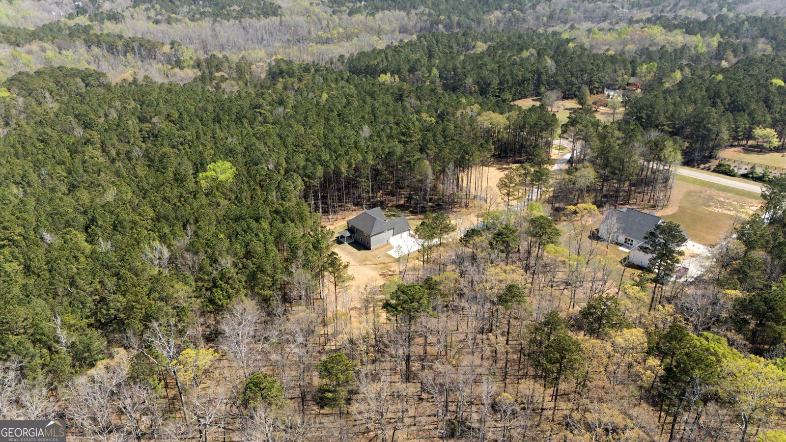 3921 Peeksville Road Locust Grove - Photo 53