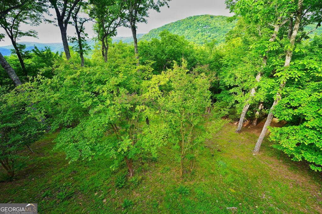 130 Starcross Lane Jasper - Photo 54