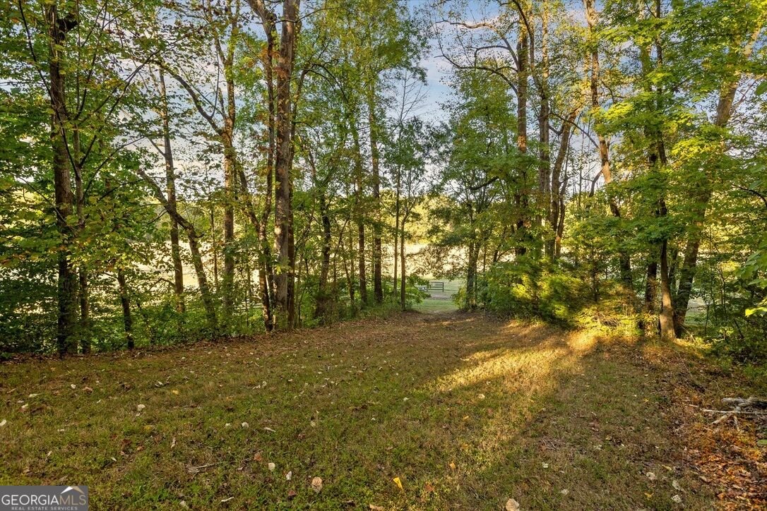 3052 Damascus Rd Baldwin - Photo 30