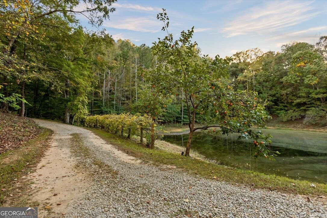 3052 Damascus Rd Baldwin - Photo 8