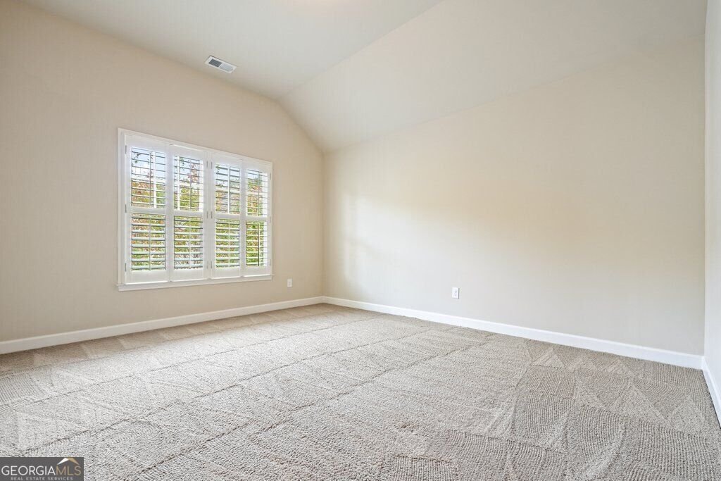 165 Hubbard Road Woodstock - Photo 59