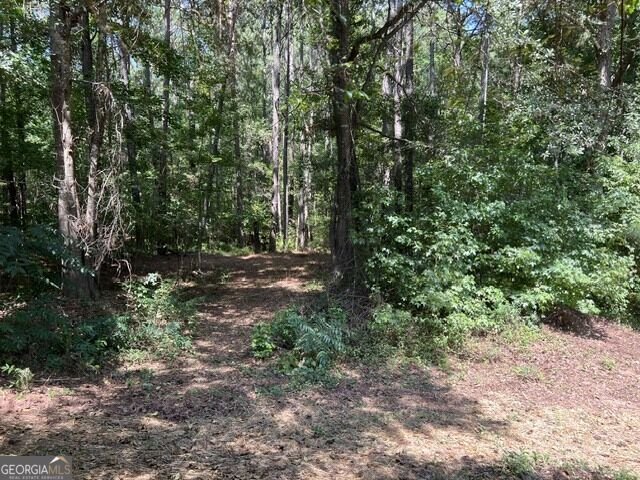 196 Old Scout Road Jackson - Photo 31