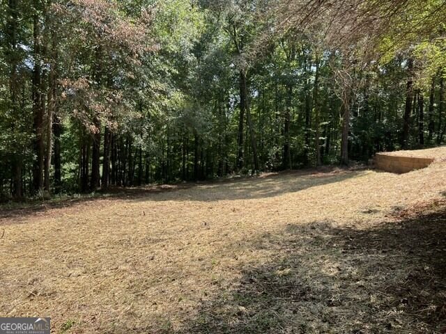 196 Old Scout Road Jackson - Photo 32
