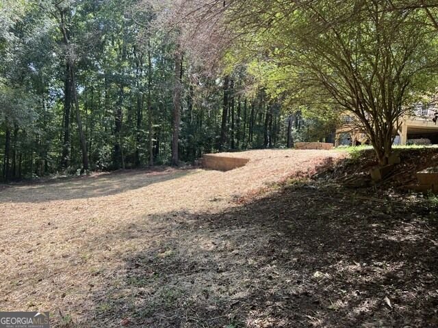 196 Old Scout Road Jackson - Photo 33