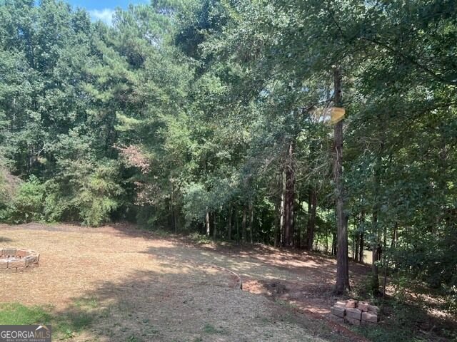 196 Old Scout Road Jackson - Photo 35