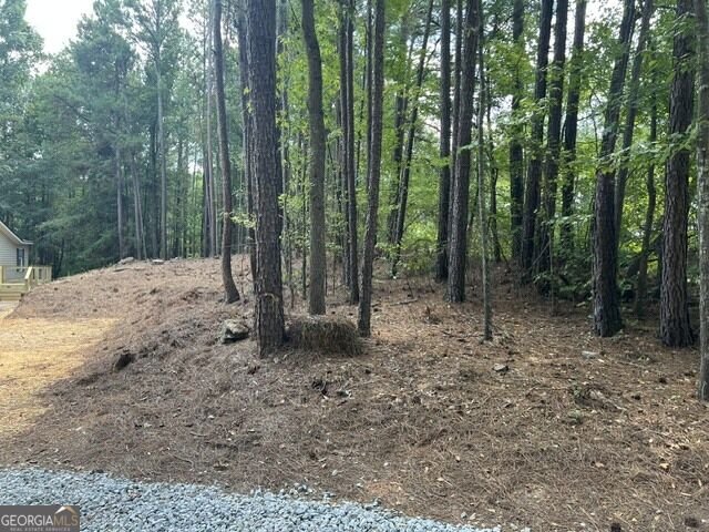 196 Old Scout Road Jackson - Photo 36