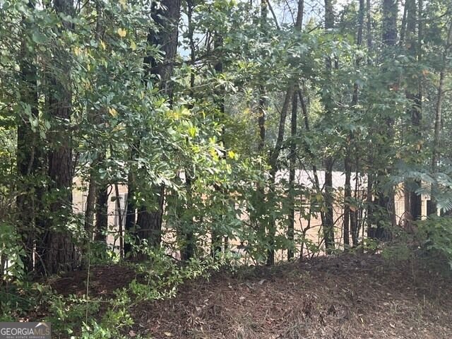 196 Old Scout Road Jackson - Photo 8