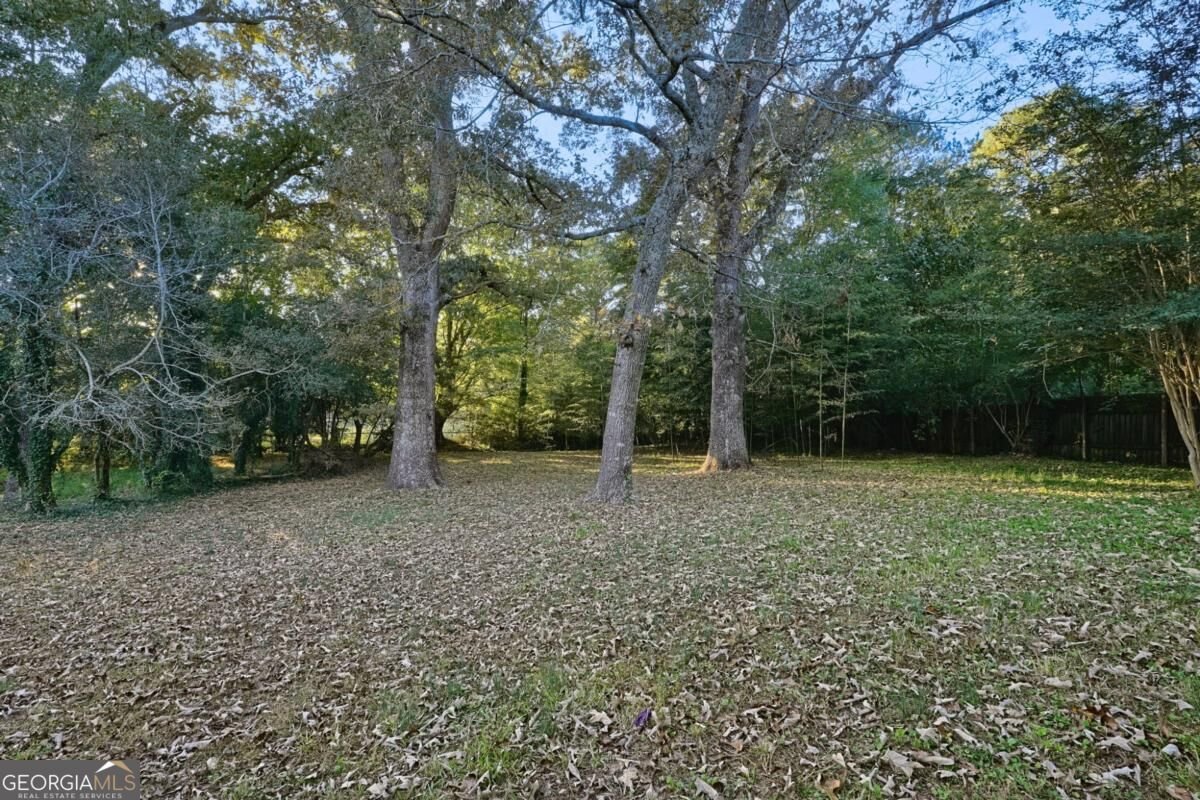 455 Ohern Court Stone Mountain - Photo 38