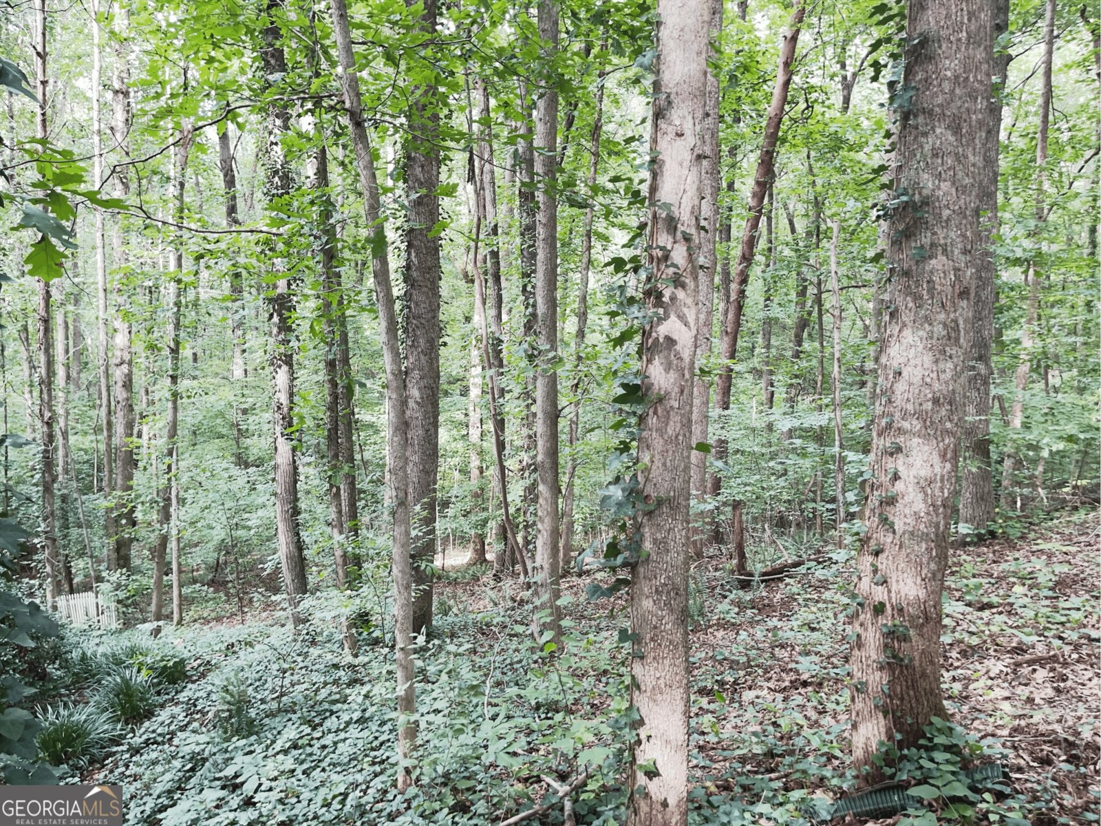 4049 Skyline Drive Gainesville - Photo 27
