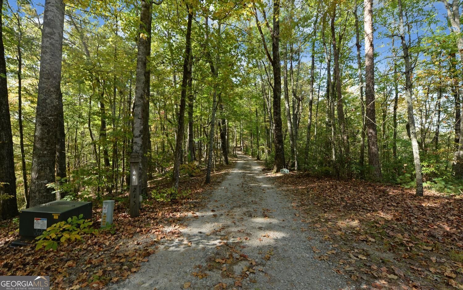 215 Avery Trail Dahlonega - Photo 34
