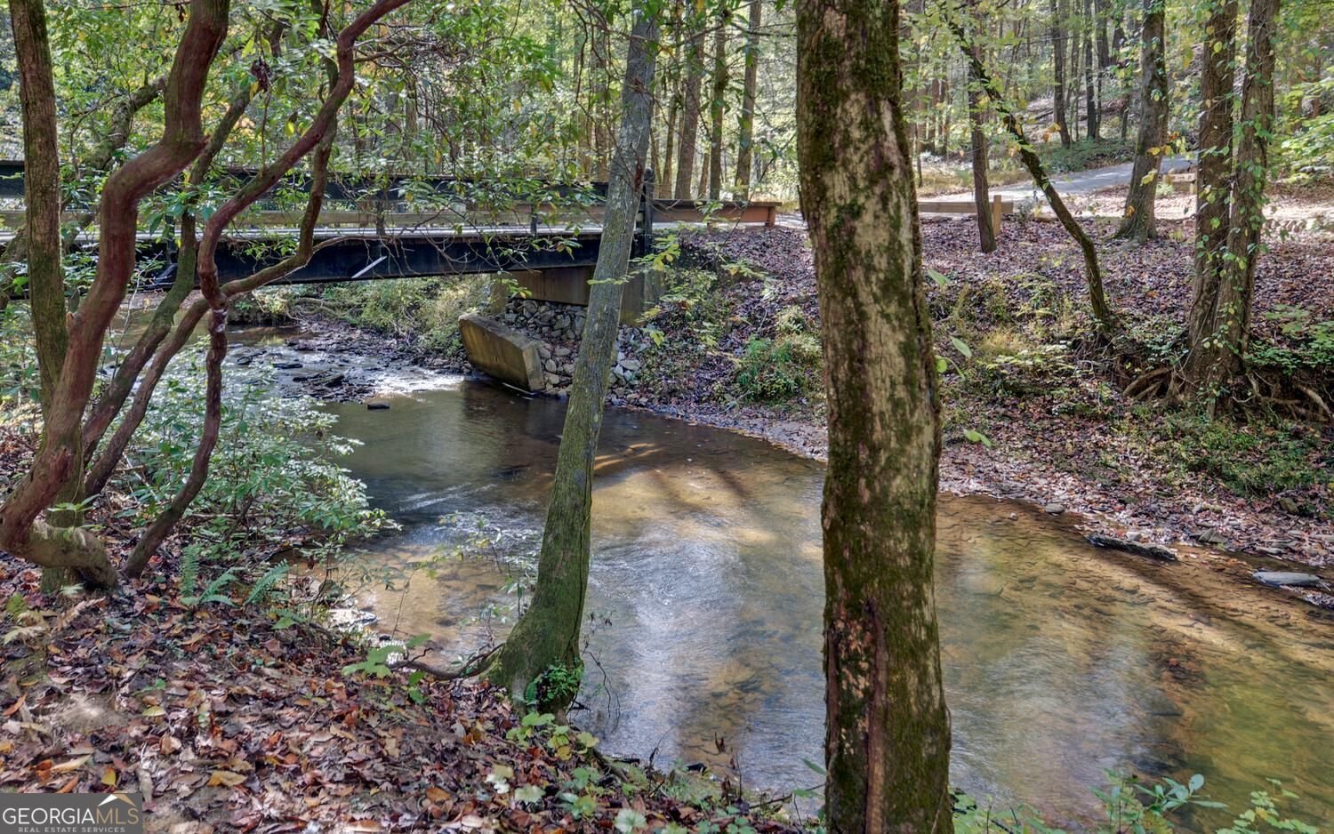 215 Avery Trail Dahlonega - Photo 36