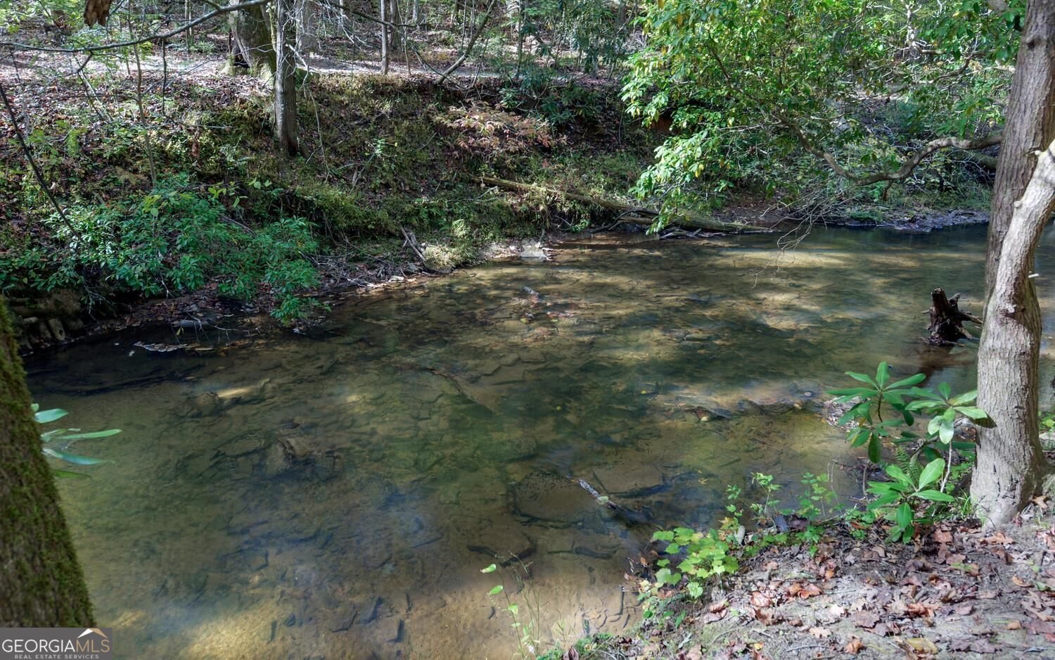 215 Avery Trail Dahlonega - Photo 37