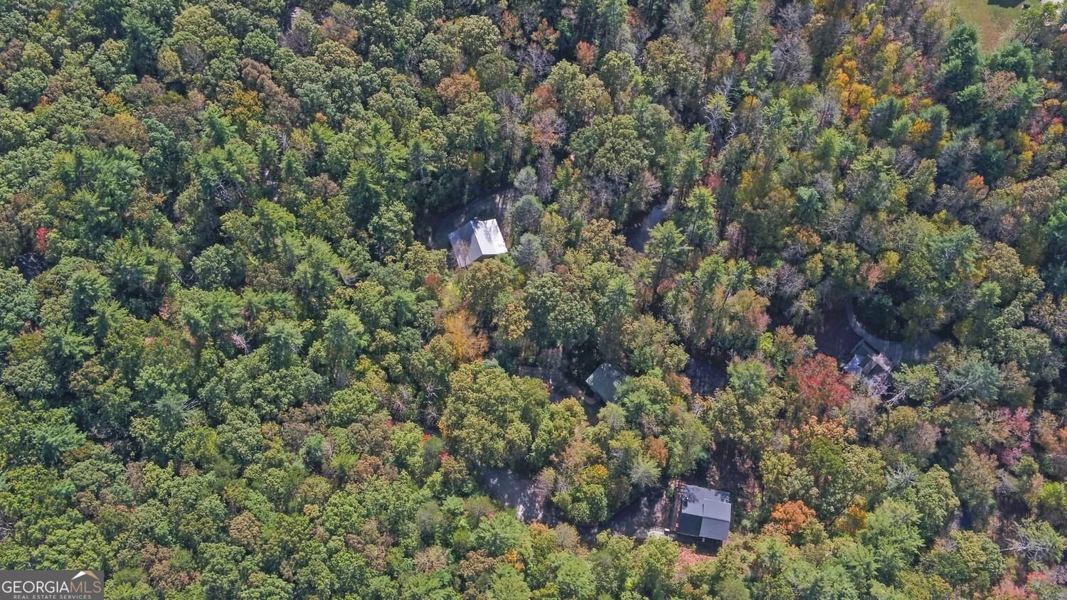 215 Avery Trail Dahlonega - Photo 39